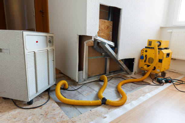 Best Mold Odor Removal Services  in Gateway, AK