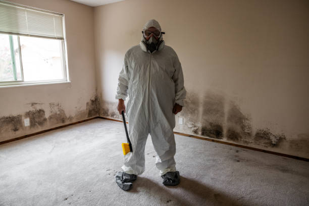 Best Mold Prevention Services  in Gateway, AK